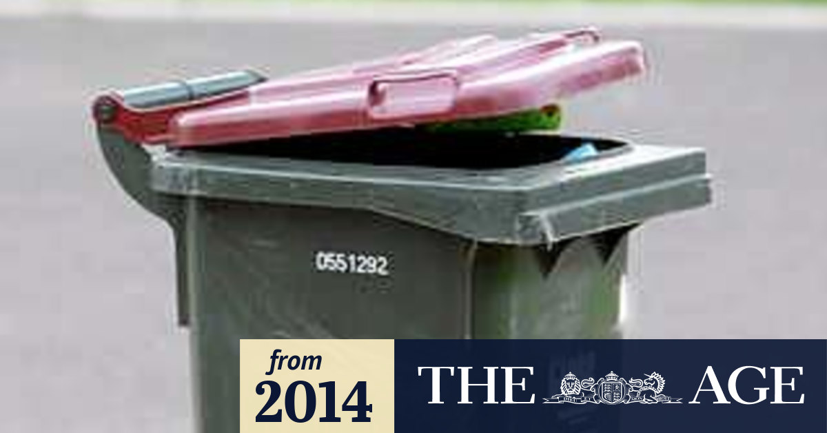 Flying wheelie bin breaks pedestrian's leg
